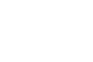 Polski Instytut Sztuki Filmowej
